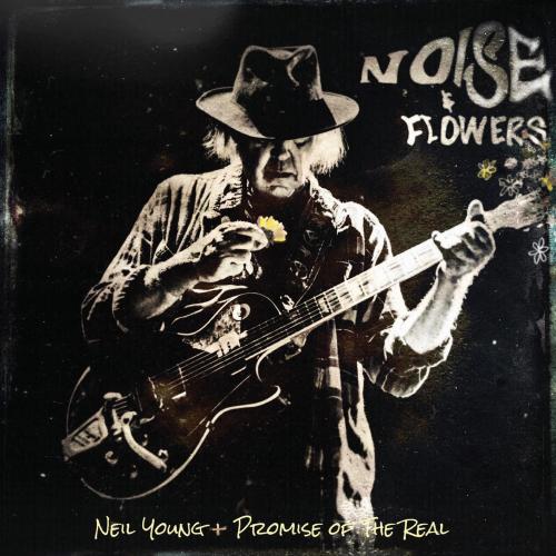 Cover Noise and Flowers (Live)