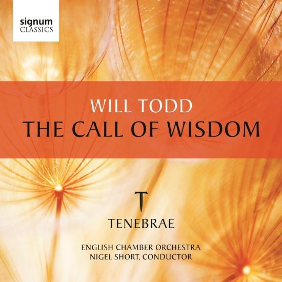 Cover The Call of Wisdom