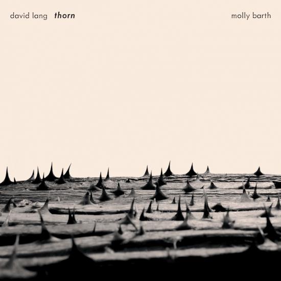 Cover David Lang: Thorn