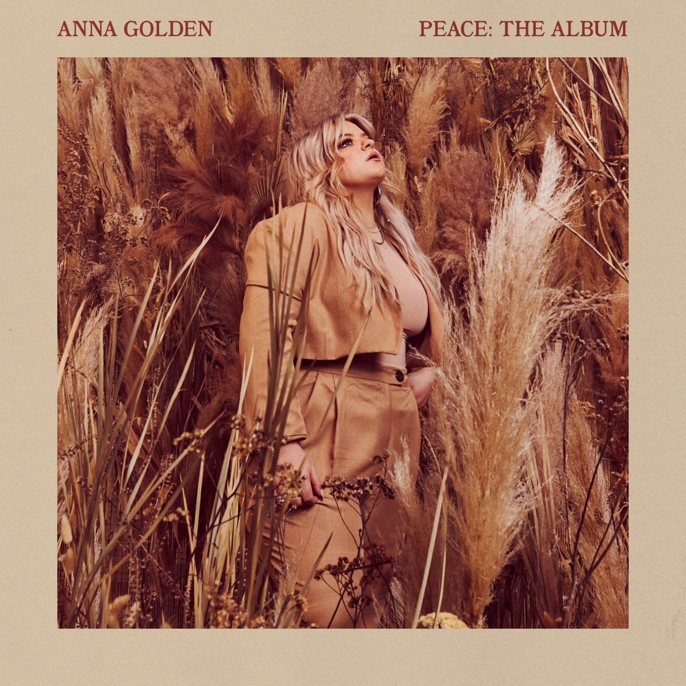 Cover Peace: The Album