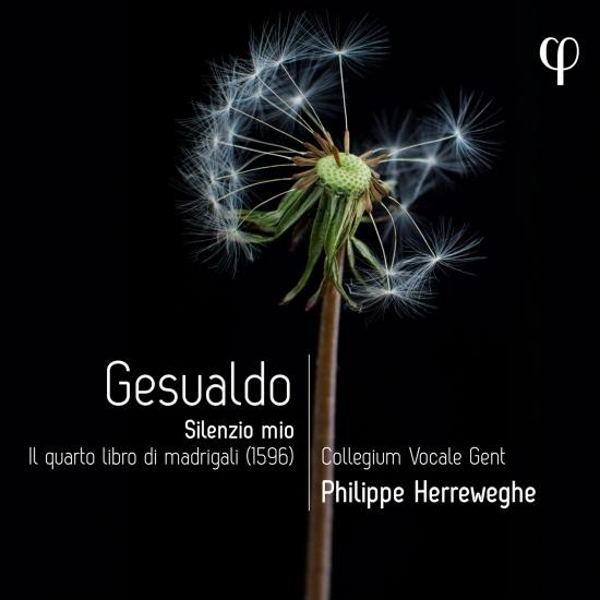 Cover Gesualdo: Silenzio mio. Il quarto libro di madrigali