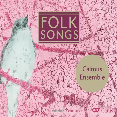 Cover Folk Songs