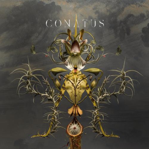 Cover Conatus