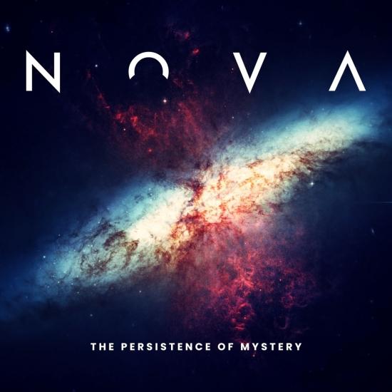 Cover The Persistence of Mystery