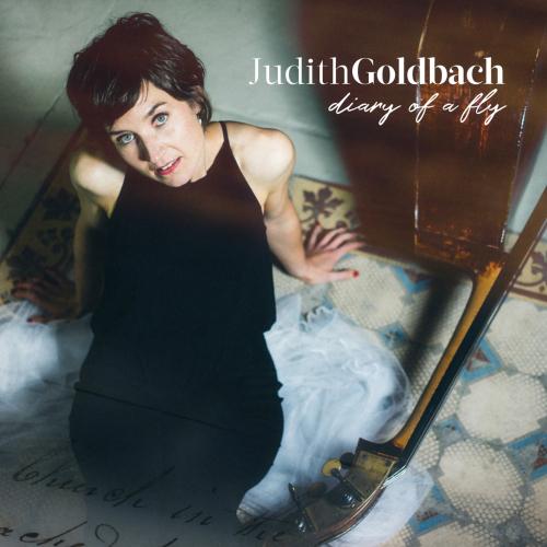 Cover Diary of a Fly