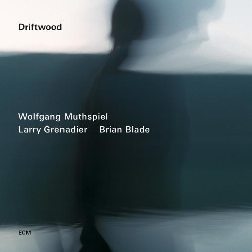 Cover Driftwood