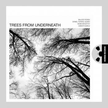 Cover Trees From Underneath