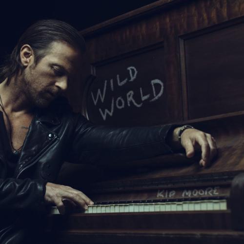 Cover Wild World