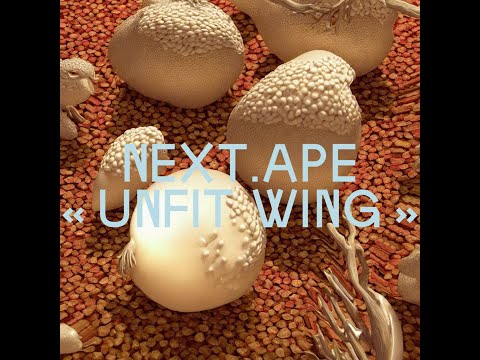 Video Next.Ape - Unfit Wing