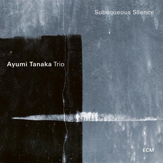 Cover Subaqueous Silence