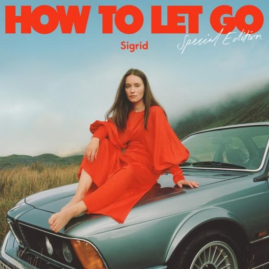 Cover How To Let Go (Special Edition)