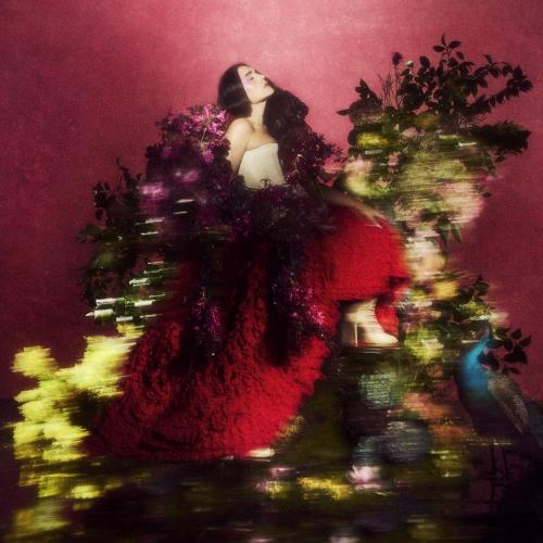 Cover Superbloom