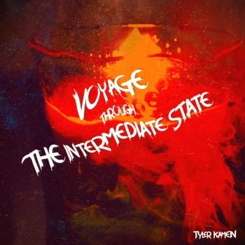 Cover Voyage Through the Intermediate State