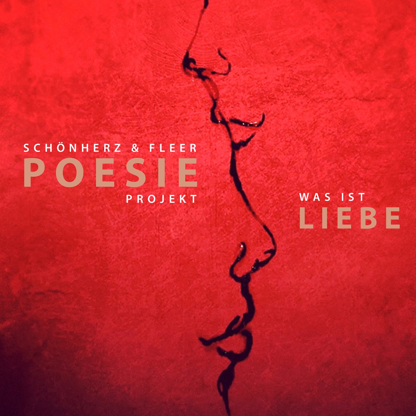 Cover Poesie Projekt: Was ist Liebe