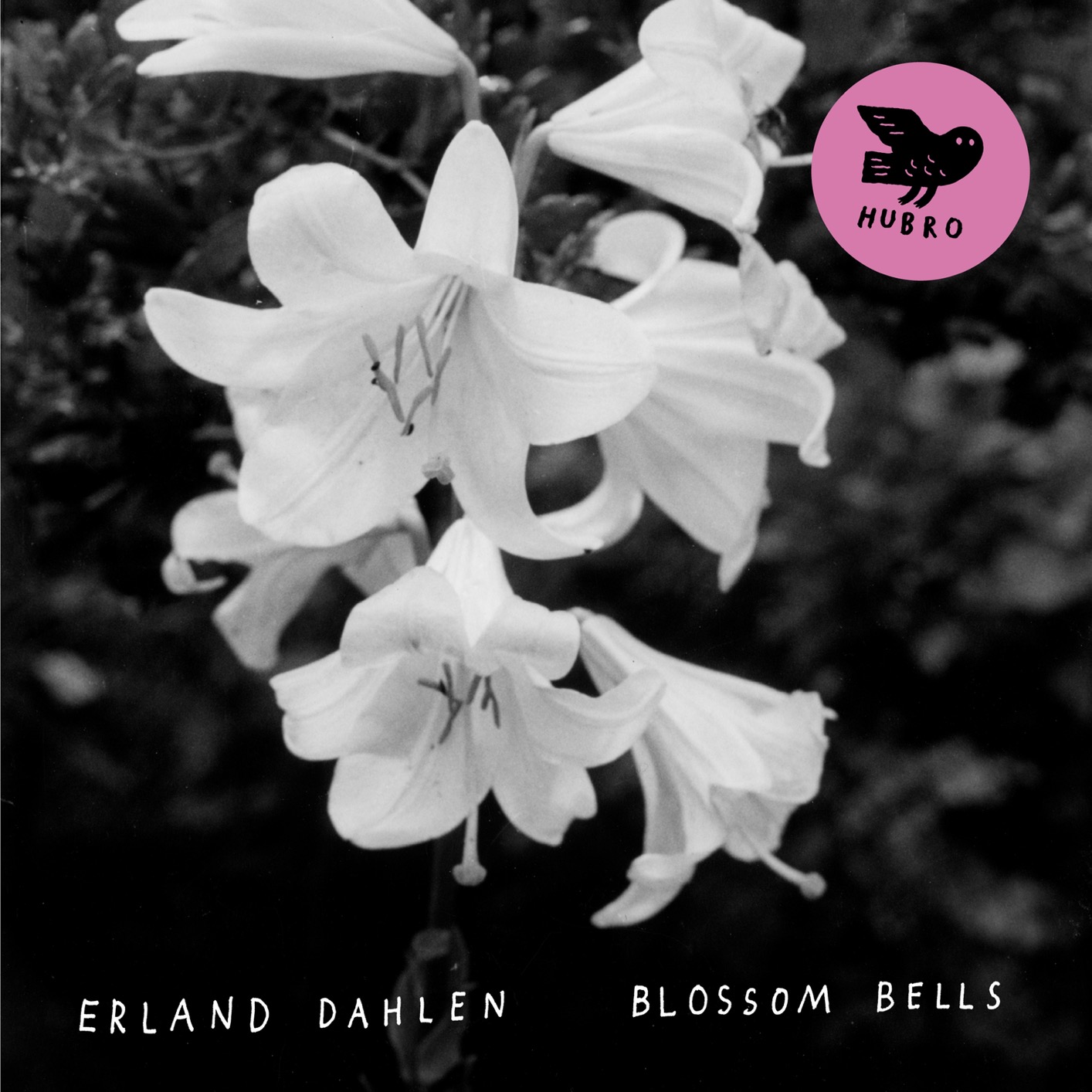 Cover Blossom Bells