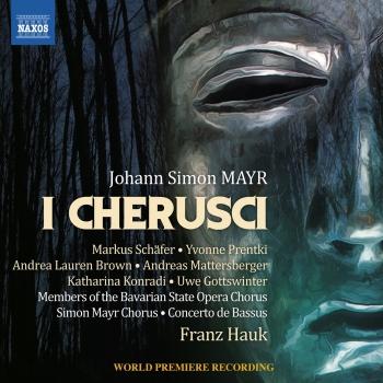 Cover Mayr: I Cherusci