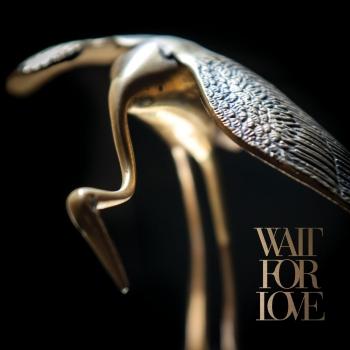 Cover Wait For Love