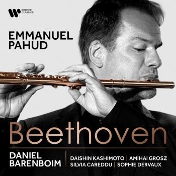Cover Beethoven: Works for Flute