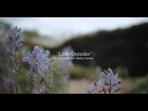 Video David C Clements - Little Outsider 