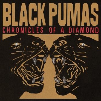 Cover Chronicles of a Diamond