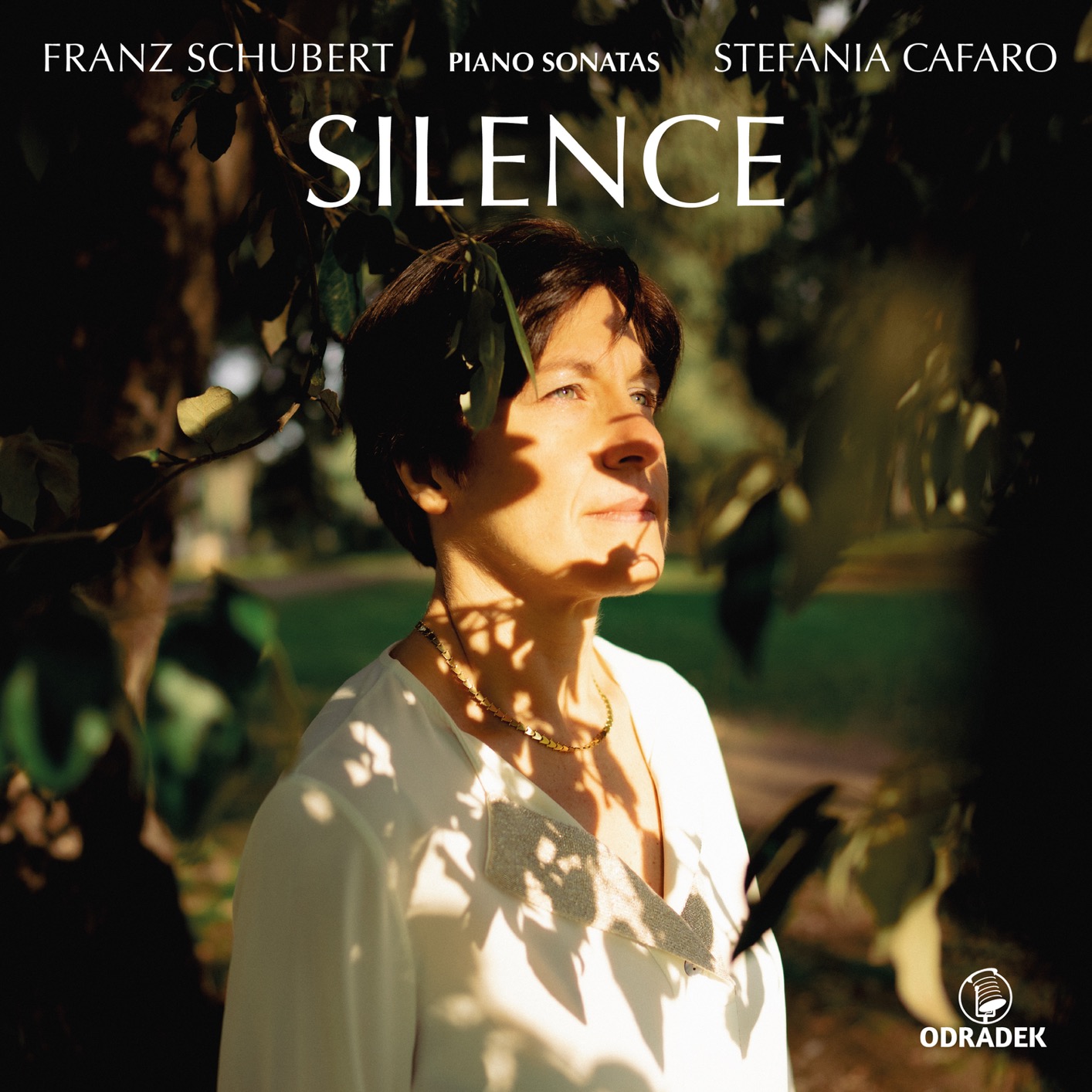 Cover Silence