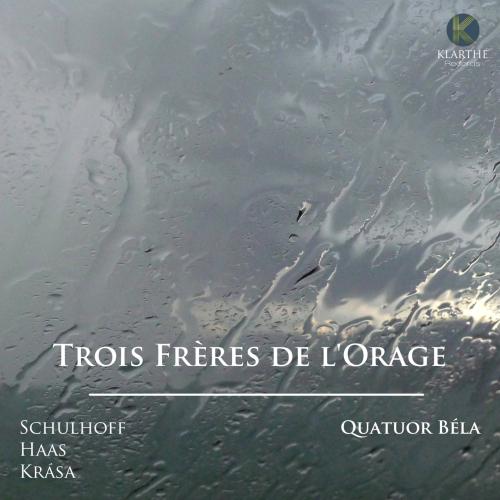 Cover Trois Frères de l'Orage