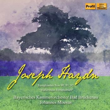 Cover Haydn: Wallerstein Symphonies