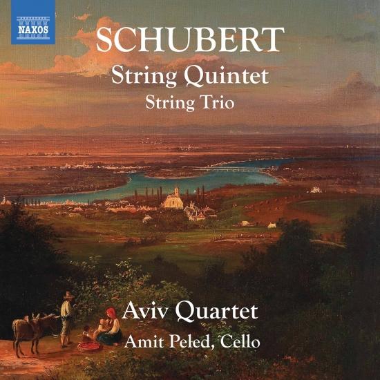Cover Schubert: String Trio in B-Flat Major & String Quintet in C Major