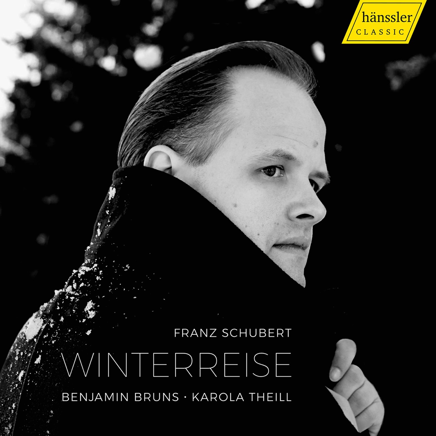 Cover Schubert: Winterreise, Op. 89, D. 911