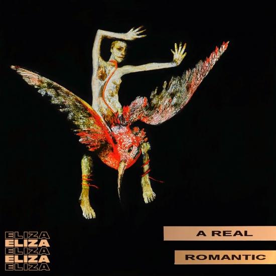 Cover A Real Romantic