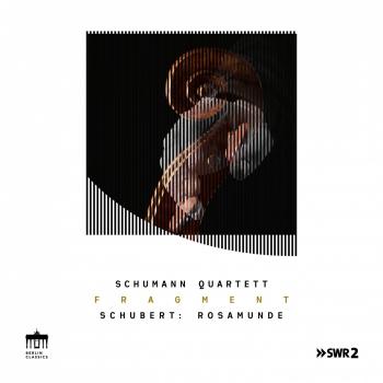 Cover Schubert: Rosamunde (Fragment Pt. I)
