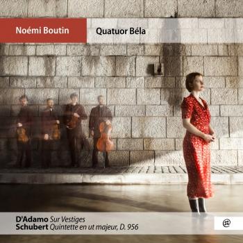 Cover D'Adamo: Sur Vestiges - Schubert: Quintet en Ut Majeur, D. 956