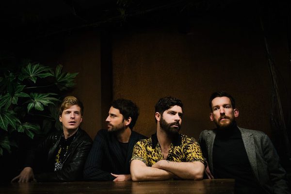 Foals