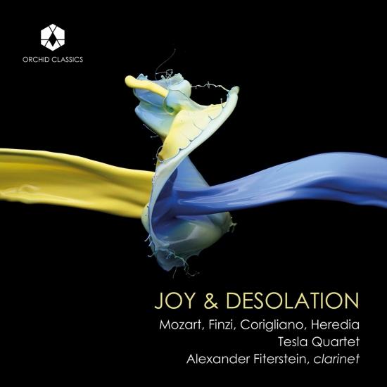 Cover Joy & Desolation
