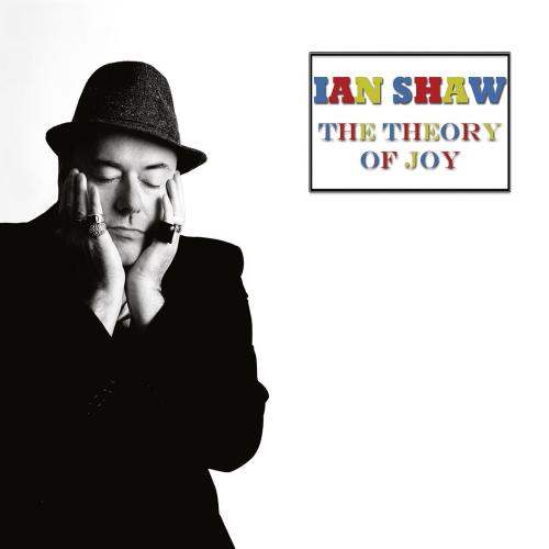 Cover The Theory of Joy