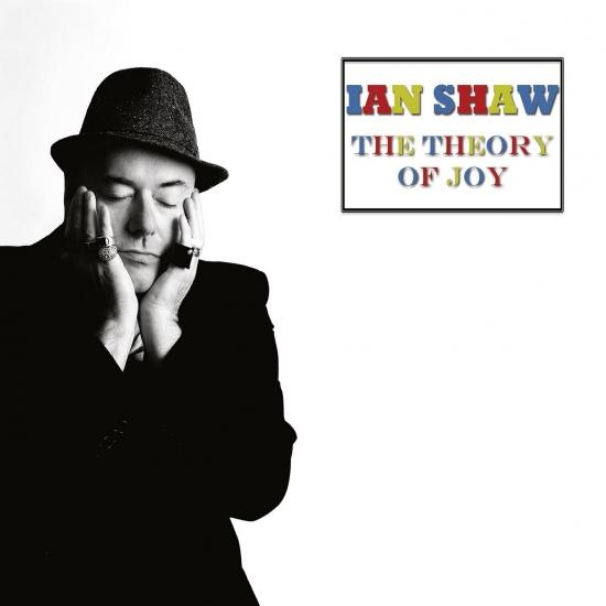 Cover The Theory of Joy