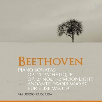 Cover Beethoven: Piano Sonatas, Opp. 13 & 27 & Other Works