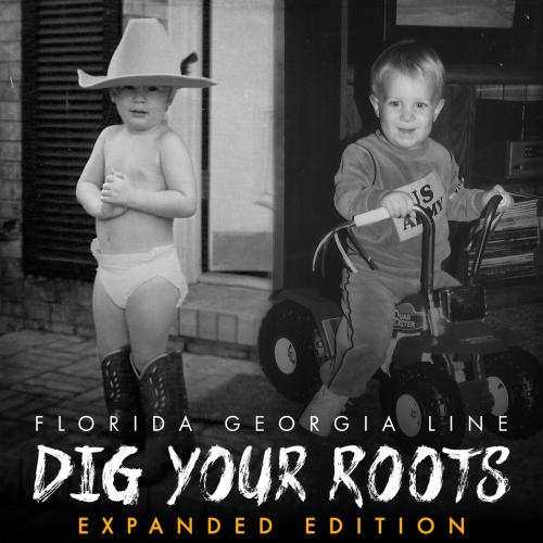 Cover Dig Your Roots (Expanded Edition)