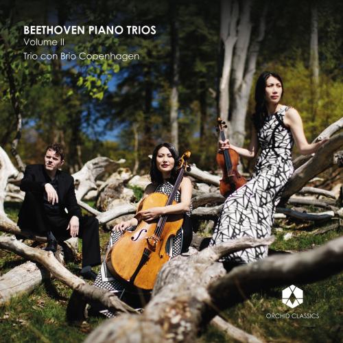 Cover Beethoven Piano Trios, Vol. 2