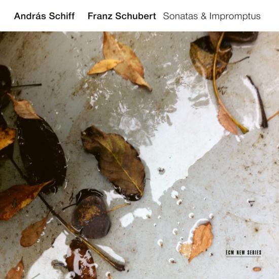 Cover Franz Schubert: Sonatas & Impromptus