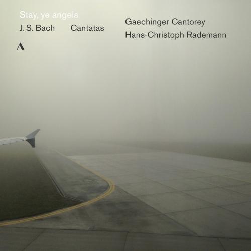 Cover J. S. Bach: Cantatas