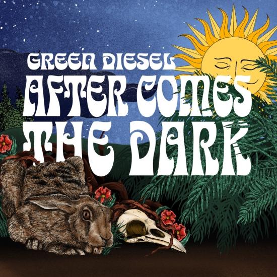 Cover After Comes the Dark