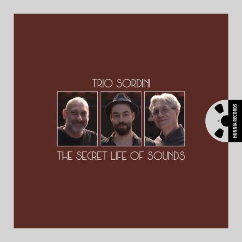 Cover The Secret Life Of Sounds