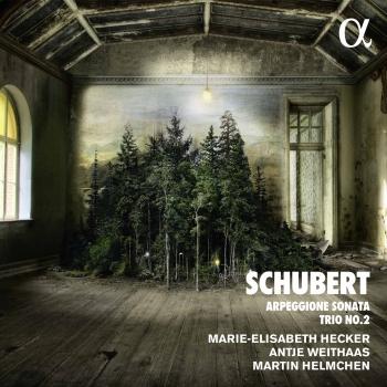 Cover Schubert: Piano Trio No. 2 in E-Flat Major, D. 929 & Arpeggione Sonata in A Minor, D. 821