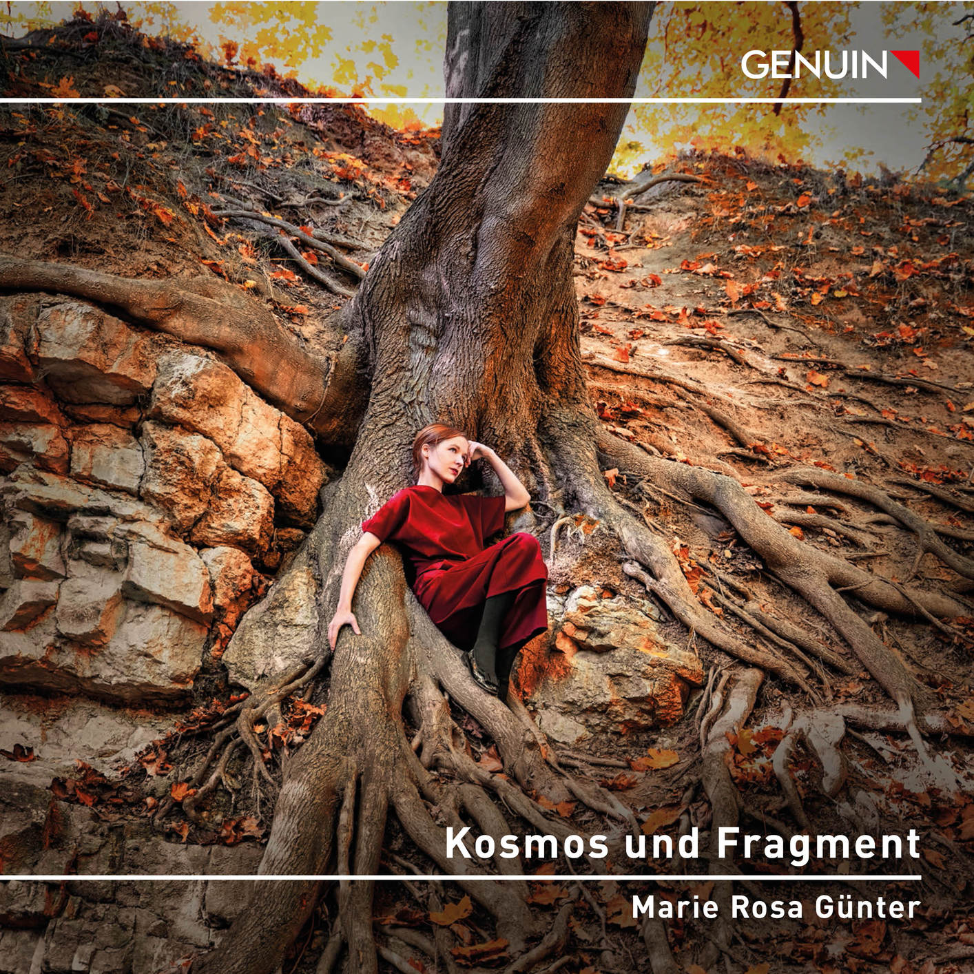 Cover Kosmos und Fragment