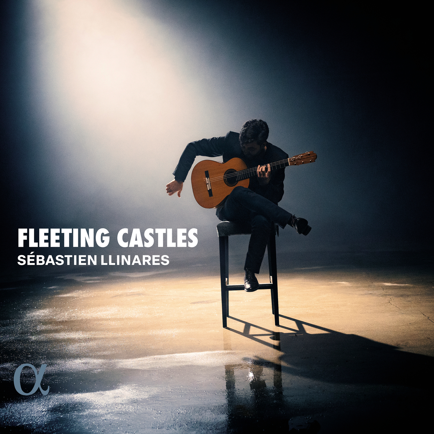 Cover Fleeting Castles