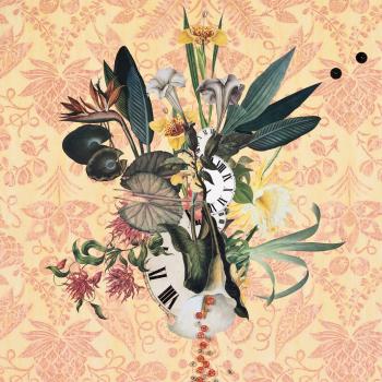 Cover Wildflowers, Vol. 3