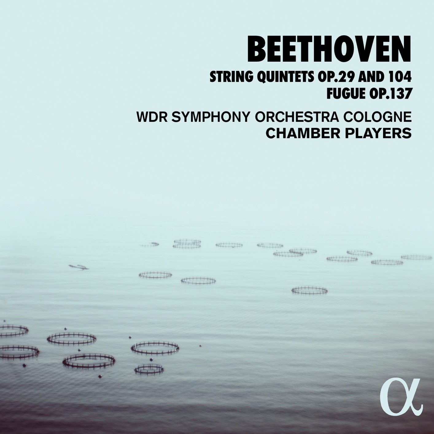 Cover Beethoven: String Quintets Op. 29 and 104, Fugue Op. 137