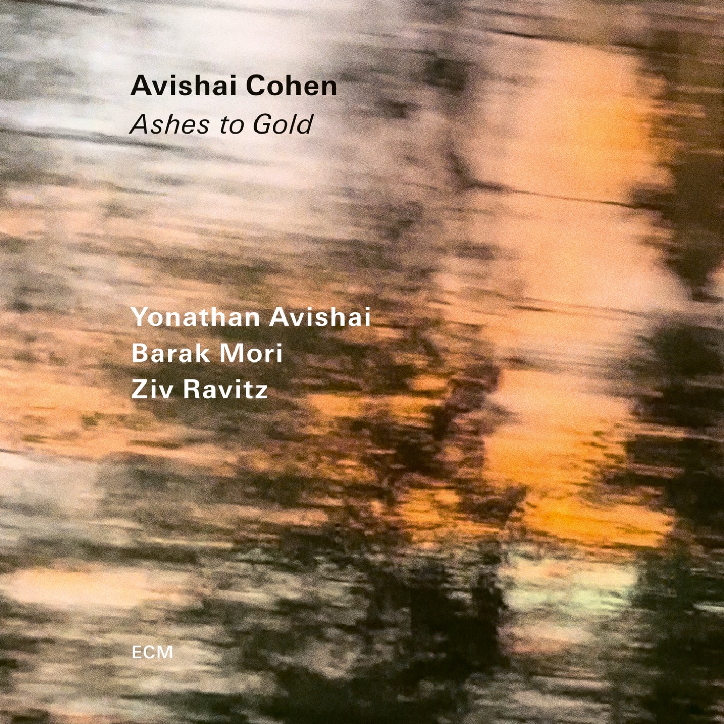 Cover Ashes to Gold