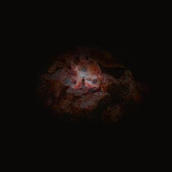 Cover The Dying of the Light